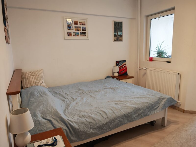 Herastrau, Elena Vacarescu  3 camere